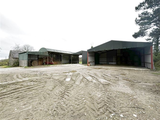 Cruttenclough, Bilboa, Carlow, Castlecomer, Kilkenny