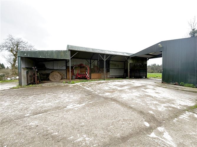 Cruttenclough, Bilboa, Carlow, Castlecomer, Kilkenny