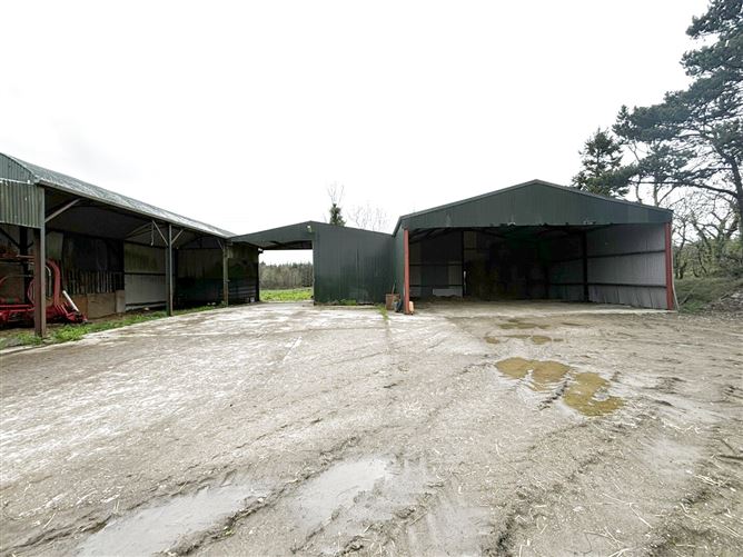 Cruttenclough, Bilboa, Carlow, Castlecomer, Kilkenny