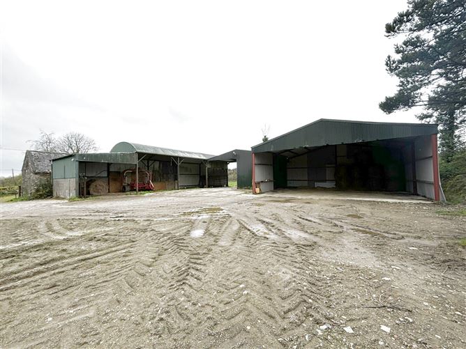 Cruttenclough, Bilboa, Carlow, Castlecomer, Kilkenny
