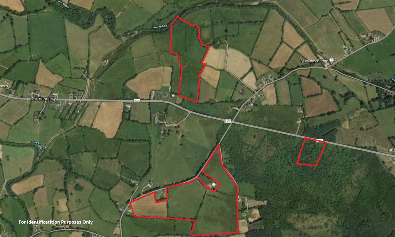 Lands at Doon Road, Cappamore, Limerick