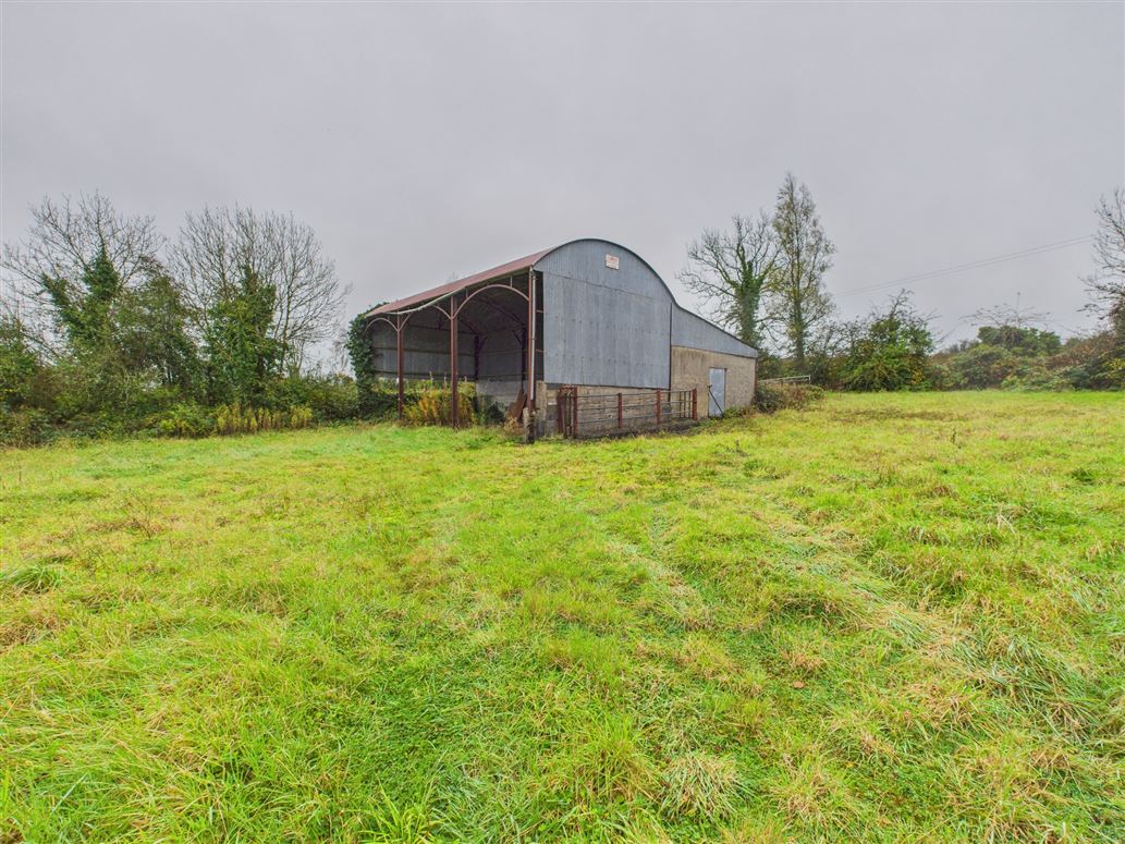 6.5 acres at Lissavruggy, Newbridge, Ballinasloe, Co. Galway