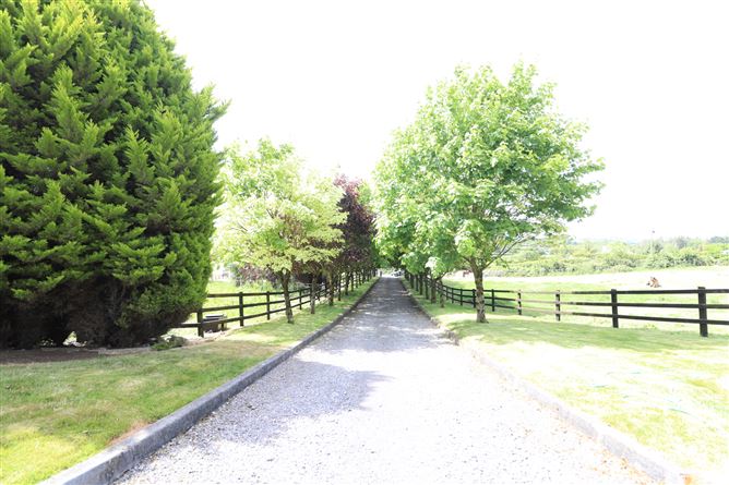 Murmod, Virginia, Cavan
