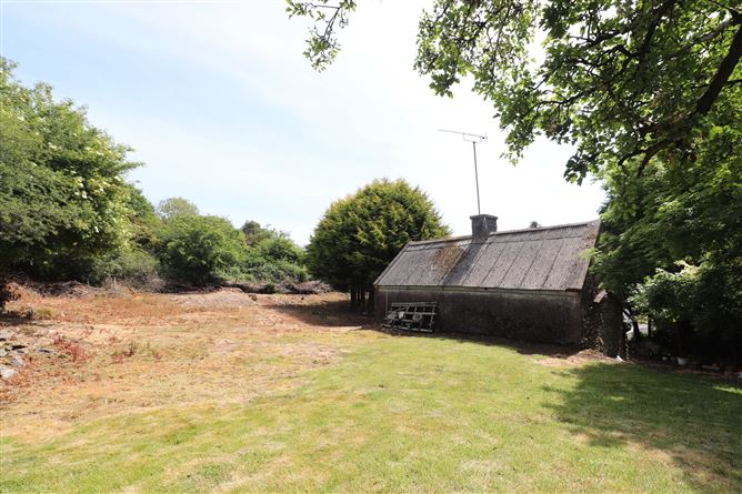 Murmod, Virginia, Cavan
