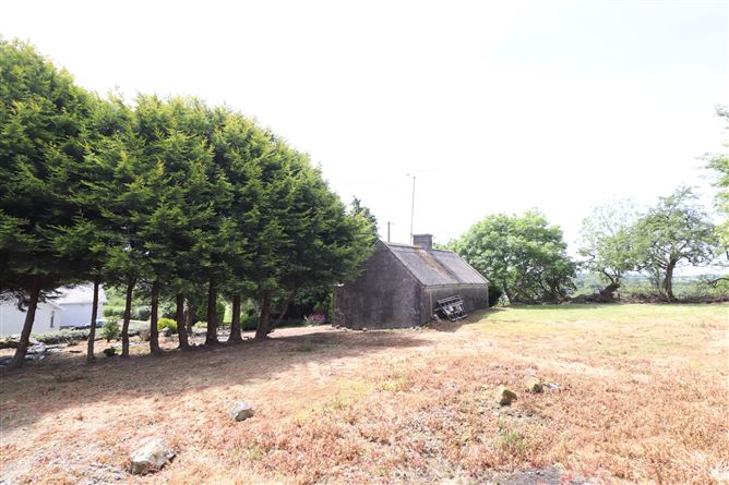 Murmod, Virginia, Cavan