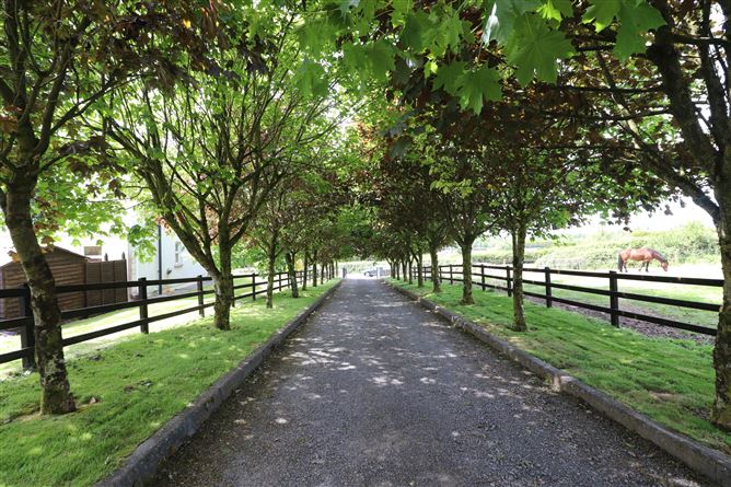 Murmod, Virginia, Cavan