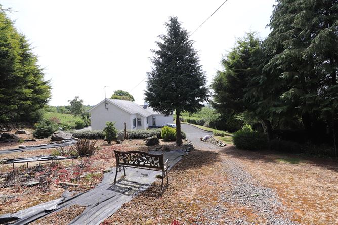 Murmod, Virginia, Cavan