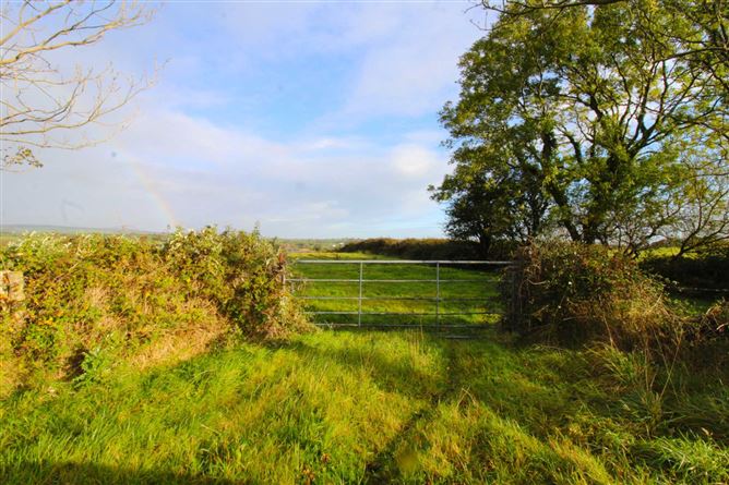 Castlereagh, Killala, Mayo
