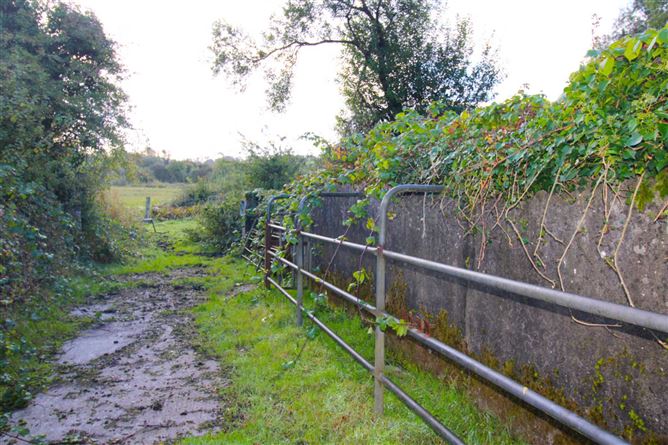 Castlereagh, Killala, Mayo
