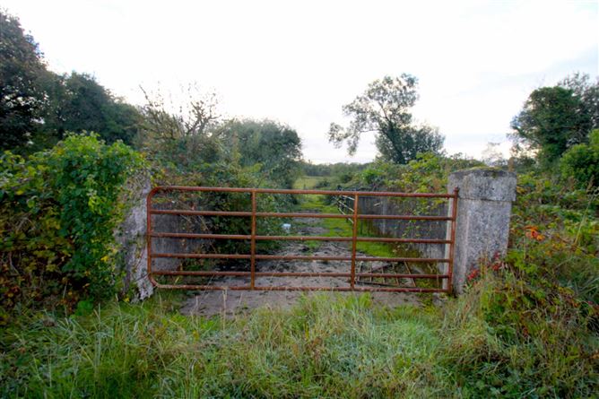 Castlereagh, Killala, Mayo