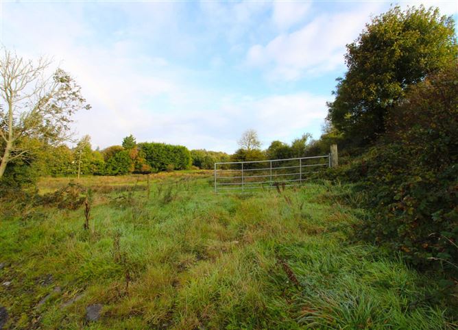 Castlereagh, Killala, Mayo