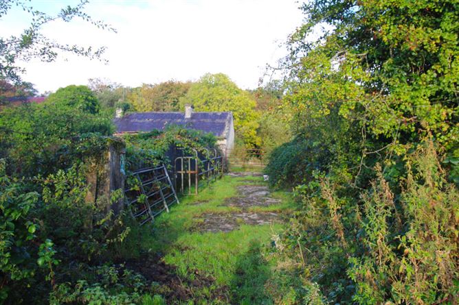 Castlereagh, Killala, Mayo
