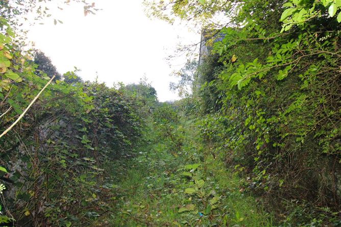 Castlereagh, Killala, Mayo