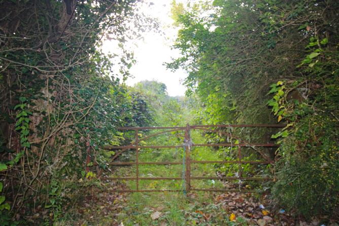 Castlereagh, Killala, Mayo