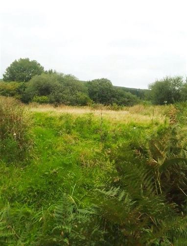 Derelict Property & Lands Killowen, Kenmare, Co. Kerry