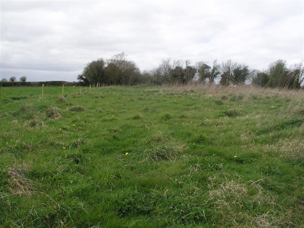 Tullacommon, Ballybrophy, Laois