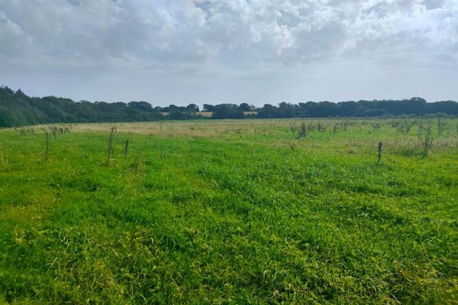 36.8 Acres / c. 14.9 Hectares Agricultural Holding  at Harperstown, Taghmon, Wexford