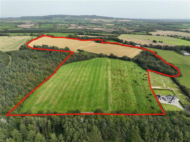 36.8 Acres / c. 14.9 Hectares Agricultural Holding  at Harperstown, Taghmon, Wexford