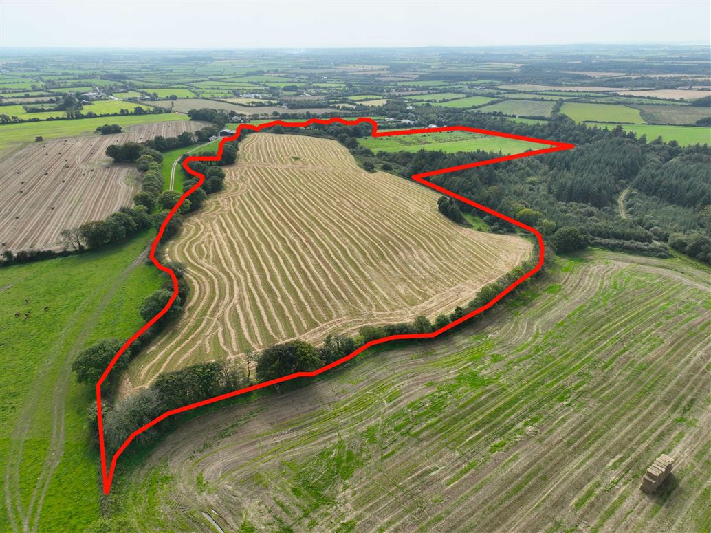 36.8 Acres / c. 14.9 Hectares Agricultural Holding  at Harperstown, Taghmon, Wexford