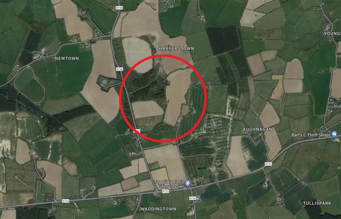 36.8 Acres / c. 14.9 Hectares Agricultural Holding  at Harperstown, Taghmon, Wexford
