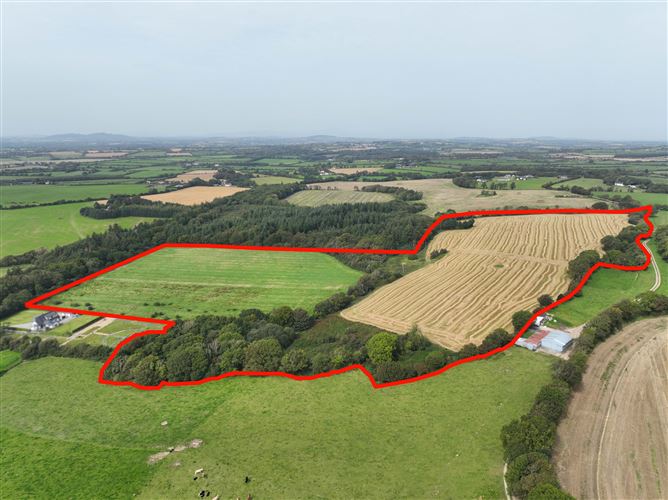 36.8 Acres / c. 14.9 Hectares Agricultural Holding  at Harperstown, Taghmon, Wexford