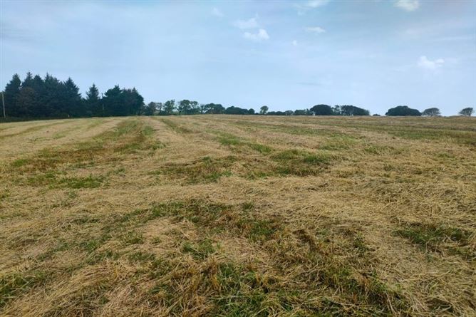 36.8 Acres / c. 14.9 Hectares Agricultural Holding  at Harperstown, Taghmon, Wexford