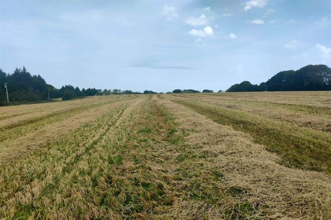 36.8 Acres / c. 14.9 Hectares Agricultural Holding  at Harperstown, Taghmon, Wexford