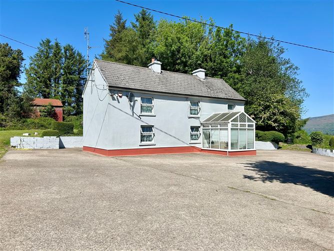 Lislea, Arigna, Roscommon