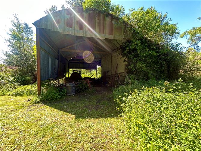 Lislea, Arigna, Roscommon
