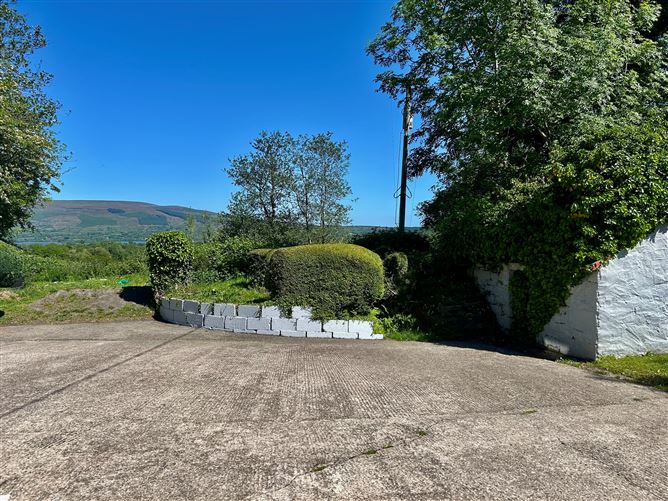 Lislea, Arigna, Roscommon