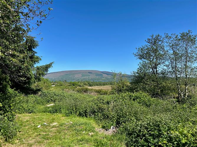 Lislea, Arigna, Roscommon