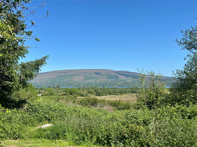 Lislea, Arigna, Roscommon