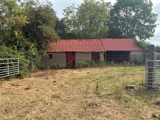 Derelict Residence On Approx. 3.1 Acres, Balbriggan, County Dublin