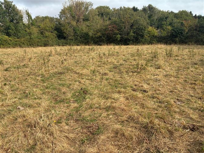 Derelict Residence On Approx. 3.1 Acres, Balbriggan, County Dublin