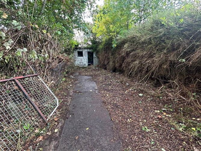 Mill Street, Bruree, Limerick