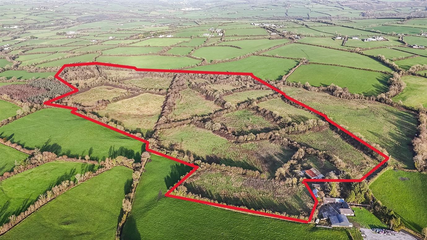 c. 23.33 hectares at Muckalee, Ballyfoyle, Co. Kilkenny