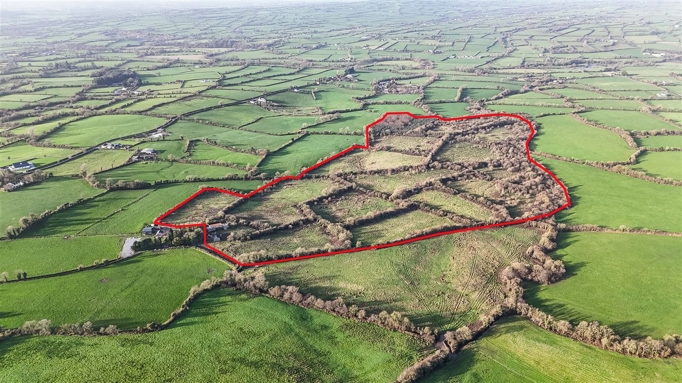 c. 23.33 hectares at Muckalee, Ballyfoyle, Co. Kilkenny