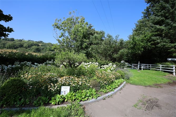 Rae An Mhionnáin, Minane Bridge, Cork