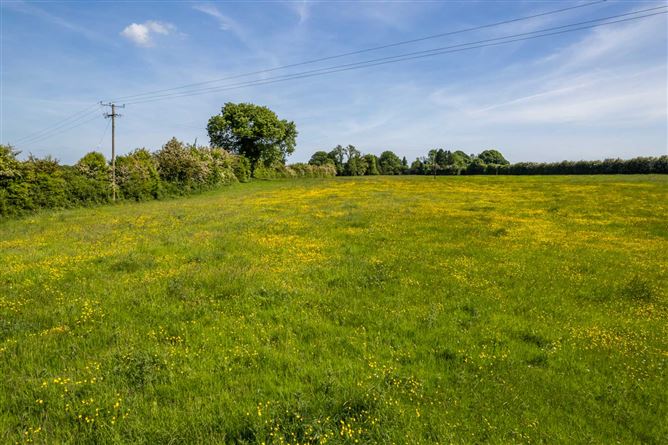 Cole Hill, Skeahanagh, Kilbeggan, County Westmeath