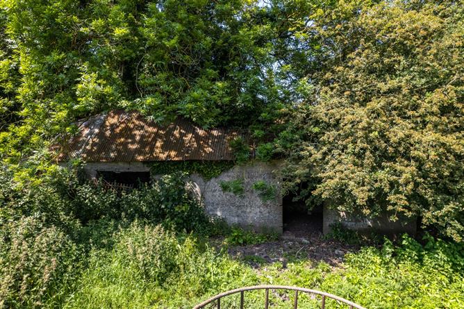 Cole Hill, Skeahanagh, Kilbeggan, County Westmeath