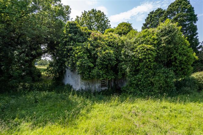 Cole Hill, Skeahanagh, Kilbeggan, County Westmeath