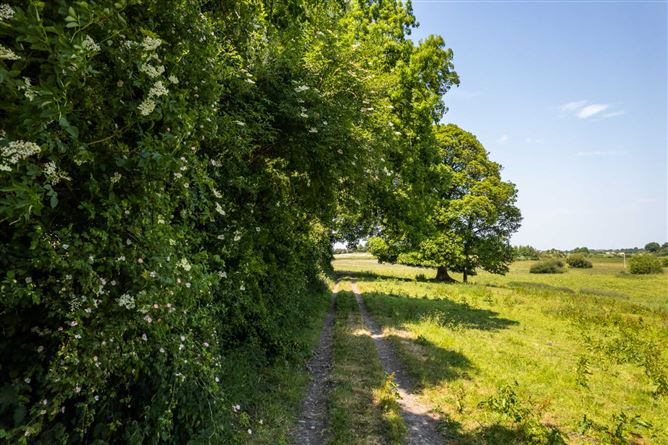 Cole Hill, Skeahanagh, Kilbeggan, County Westmeath