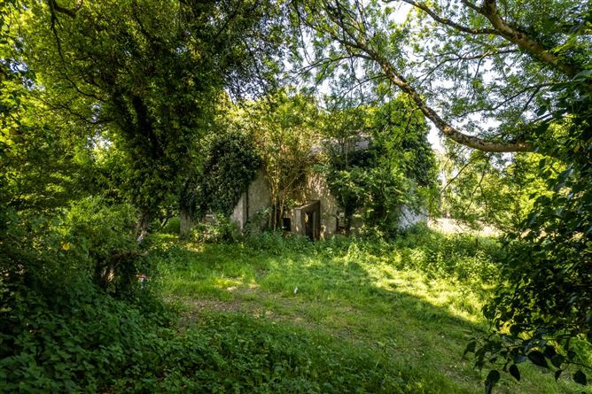 Cole Hill, Skeahanagh, Kilbeggan, County Westmeath