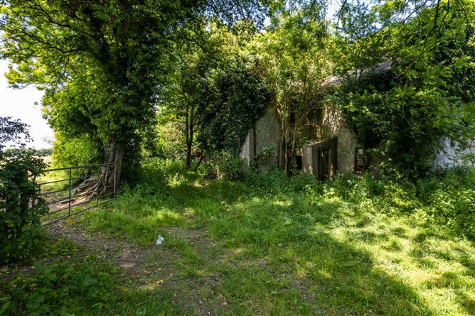 Cole Hill, Skeahanagh, Kilbeggan, County Westmeath