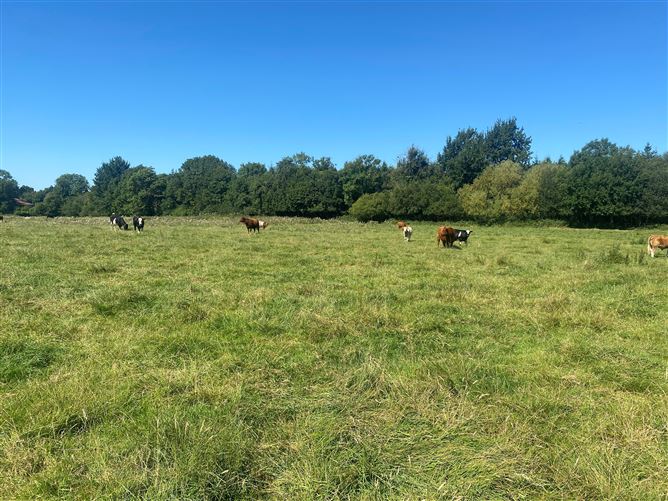Farmhouse & Yard on c. 5.33 Acres, Cloncourse, Mountrath, Portlaoise, Co. Laois, Portlaoise, Laois