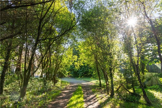Pennylane, Inishconnell, Cavan, Co. Cavan
