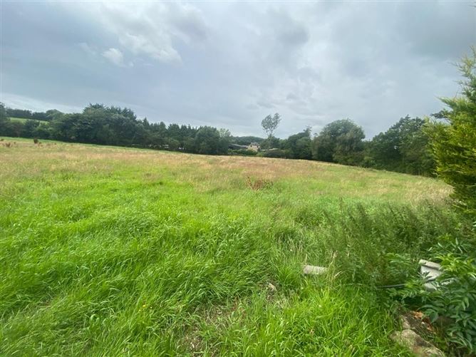 Ballinabarna , Enniscorthy, Wexford