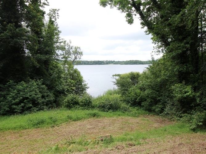 8 Corronagh Forest, Virginia, Cavan