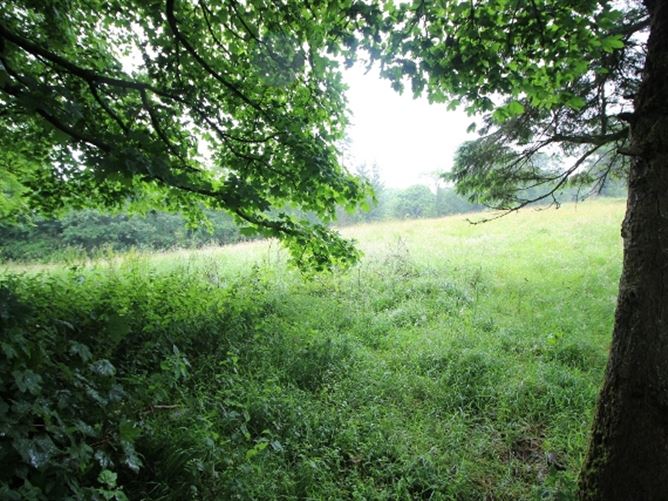 8 Corronagh Forest, Virginia, Cavan