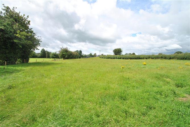 Clonakenny, Roscrea, Co. Tipperary